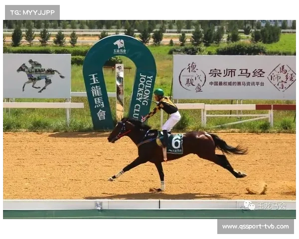 玉龙大赛日中国马主联盟国际锦标赛玉龙驰冠成功卫冕再创辉煌